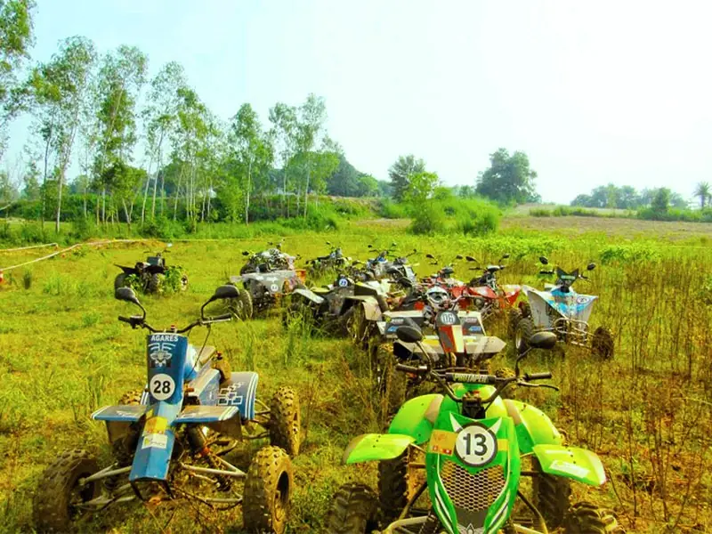 Quad Torc